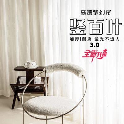 梦幻竖百叶纱帘窗帘透光不透人客厅阳台白纱2024款纱帘飘窗窗纱帘