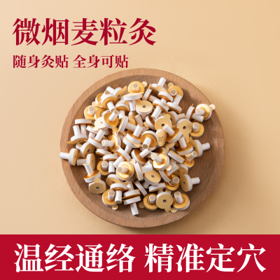 迷你麦粒灸自贴米粒灸艾灸柱贴