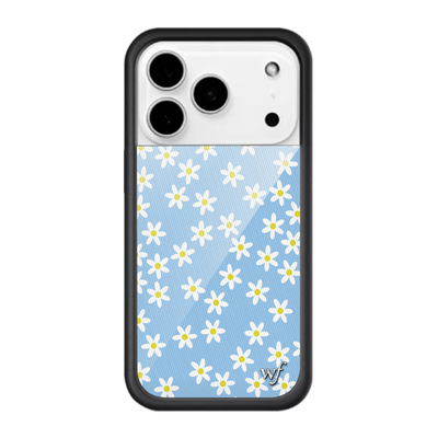 Wildflower蓝色雏菊BlueDaisy