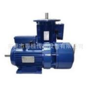 现货意大利SEIPEE电机 ZKF63B2/0.22KW制刷专用刹车电机