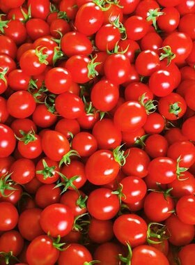 广西千禧樱桃小番茄千禧果小西红柿圣女果5斤千禧小番茄新鲜水果