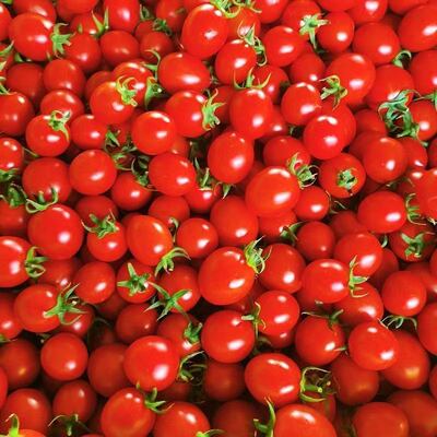 广西千禧樱桃小番茄千禧果