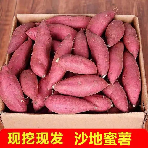 新鲜烟薯25号糖心蜜薯