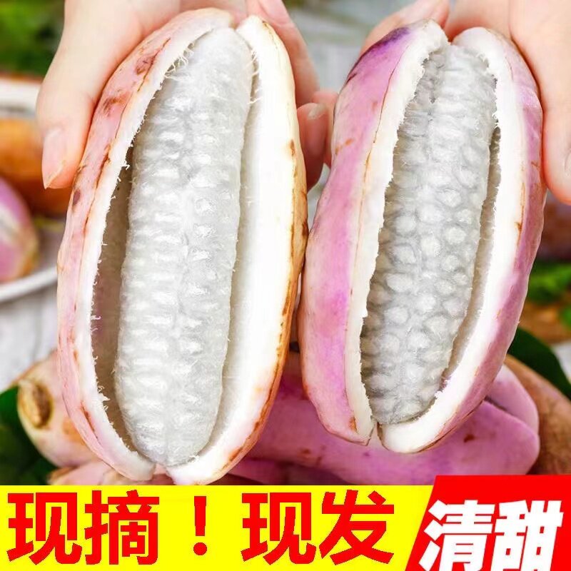 新鲜八月瓜水果八月炸