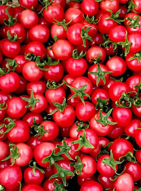 广西千禧樱桃小番茄千禧果小西红柿圣女果5斤千禧小番茄新鲜水果