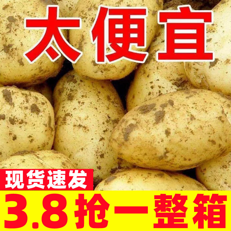 恩施新鲜红皮黄心大土豆