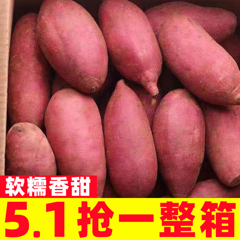 新鲜烟薯25号糖心蜜薯10斤