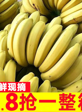 10斤高山大香蕉当季新鲜