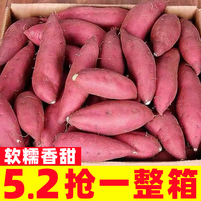 正宗农家烟薯25号烤红薯山芋