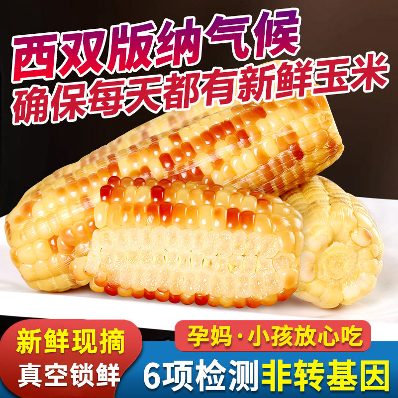 云南西双版纳香糯小玉米即食真空新鲜早餐花甜糯黏玉米棒粗粮代餐