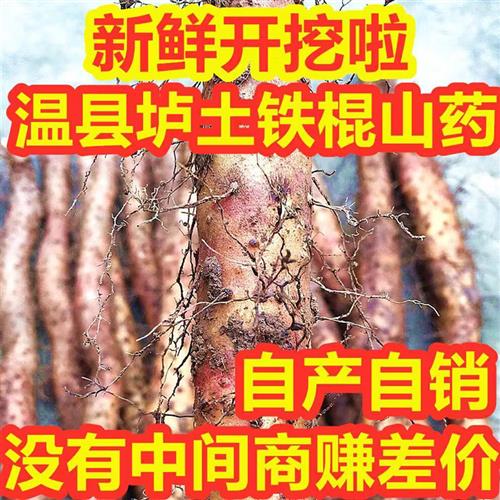 河南焦作温县垆土铁棍铁杆怀山药淮山正宗新鲜5斤准铁棒特级整箱