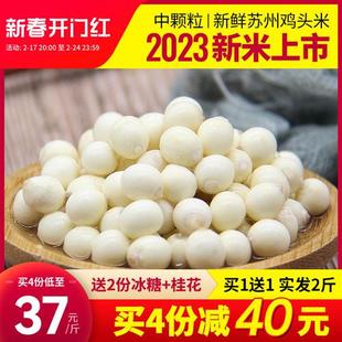 十善村鸡头米新鲜2023苏州新货芡实米冰冻鸡米头非手剥