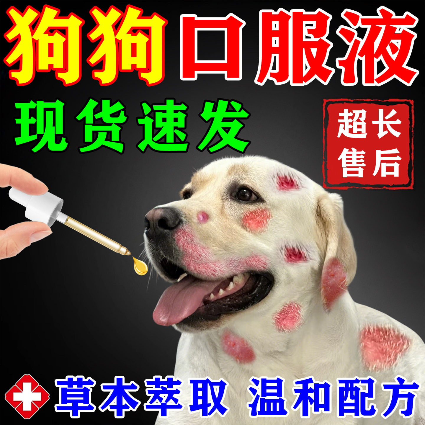 狗宠物皮肤专用维生素B族口服液