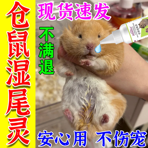 仓鼠湿尾症专用口服滴剂湿尾灵