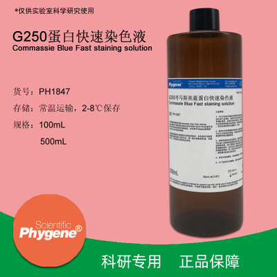 考马斯亮蓝快速染色液 G250染色液 100mL/500mL [PH1847 PHYGENE]