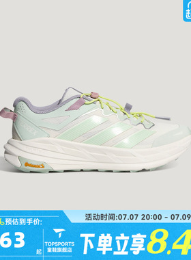 adidas阿迪达斯男女TERREX FREEHIKER LT户外运动休闲鞋KZ7358