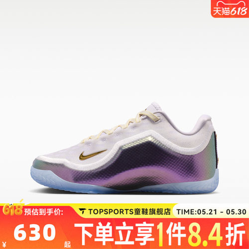 NIKE耐克男大童LEBRON XXIII FTR运动训练篮球鞋IV4873-102