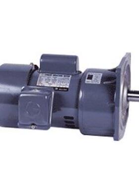 晟邦单相220V立式电机城邦电机CPG电机CV-200-30ACV-400-2CV-2