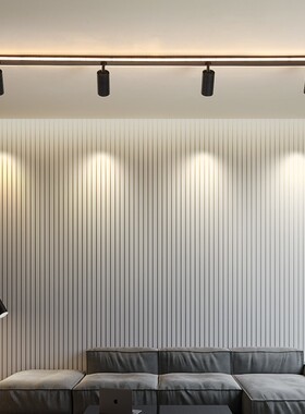 新轨道灯射灯leld天花灯家用明装筒灯无主灯客厅照明背景墙壁小射