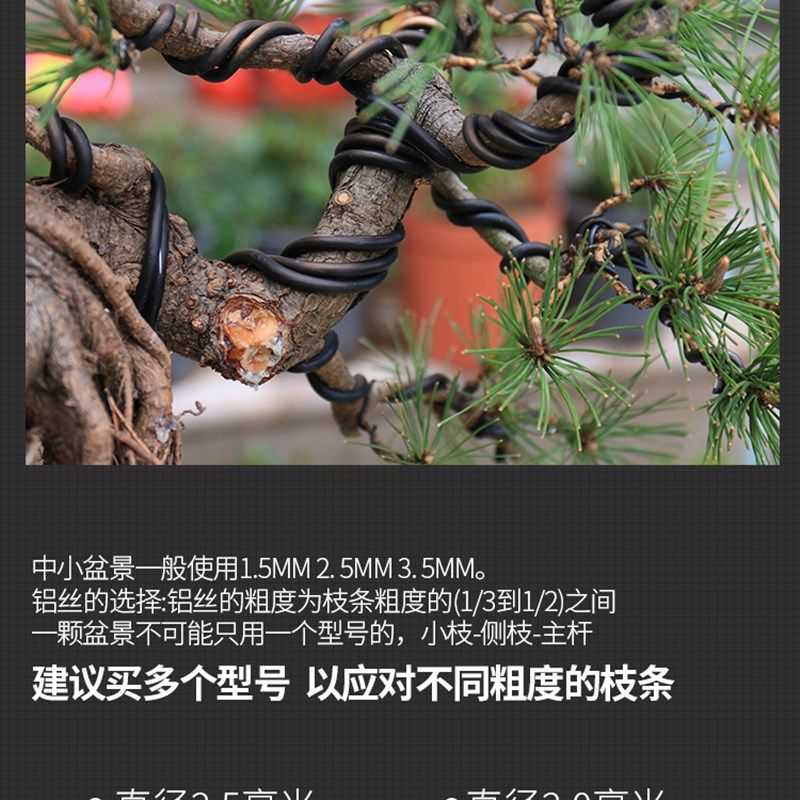 新盆景造型专用铝丝铝线用捆扎绑丝线植J物铝条花卉罗汉松攀盘扎,鲜花速递/花卉仿真/绿植园艺,其它园艺用品,淘宝优惠券,粉丝福利购,淘宝优惠卷