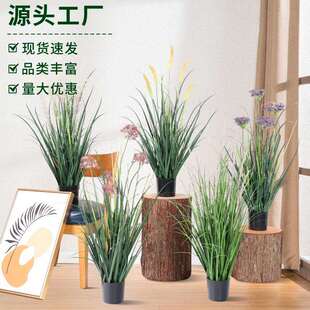 仿真狗尾草仿真芦苇绿植盆栽酒店橱窗造景假草仿真蒲苇室内装饰