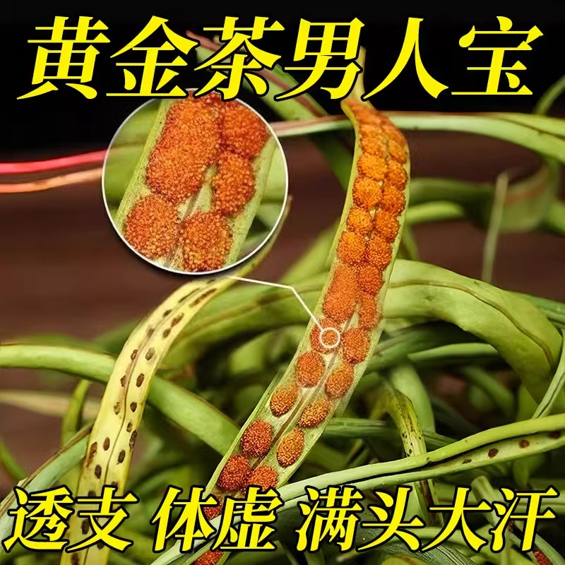特级野生肾精草黄金草嗷嗷叫正品中药材滋补男肾精补化石雄阳草