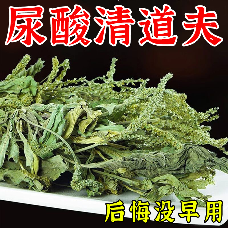 寻百草车前草500g中药材野生猫爪草泡茶新鲜干货整株车轮草正品店