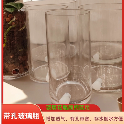 带孔玻璃直筒透明花瓶