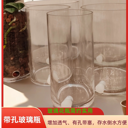 带孔玻璃直筒透明花瓶