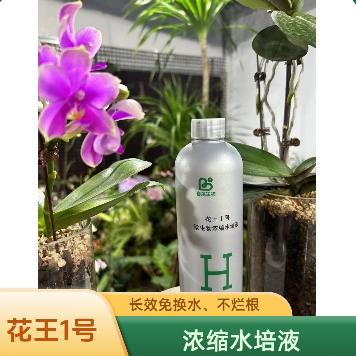 花王Ⅰ号水培植物浓缩液