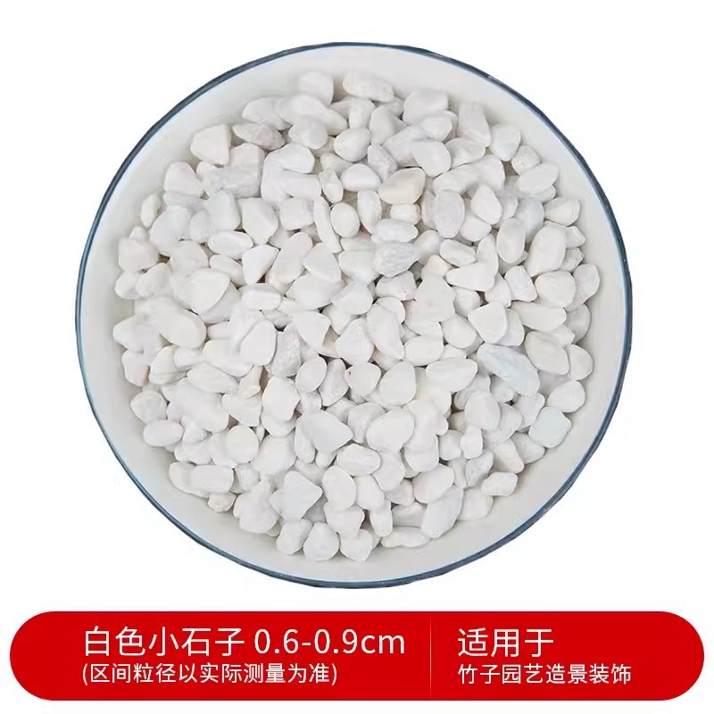 甘肃50斤白色石子鹅卵石庭院铺路铺地白砾石花园造景景观白石子