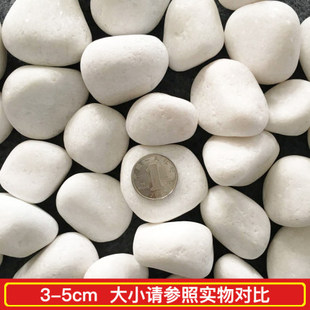 仿真迎客松白色石头鹅卵石庭院铺路铺地小白石头园林枯山水白石子