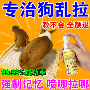 狗狗定点上厕所神器不乱拉定点排便神器上厕所诱导剂尿垫定点训练