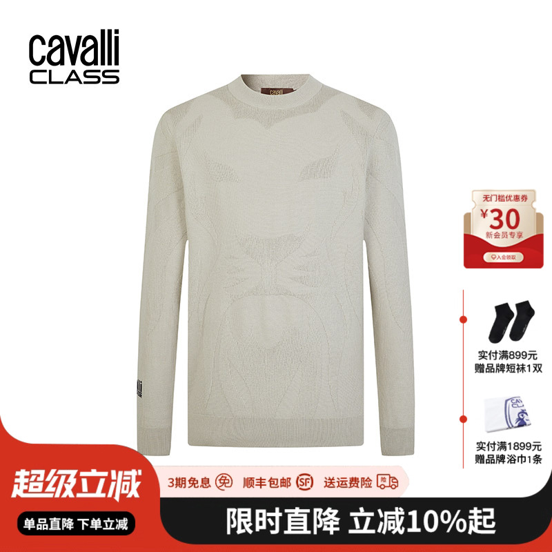 CavalliClass毛衣男休闲针织
