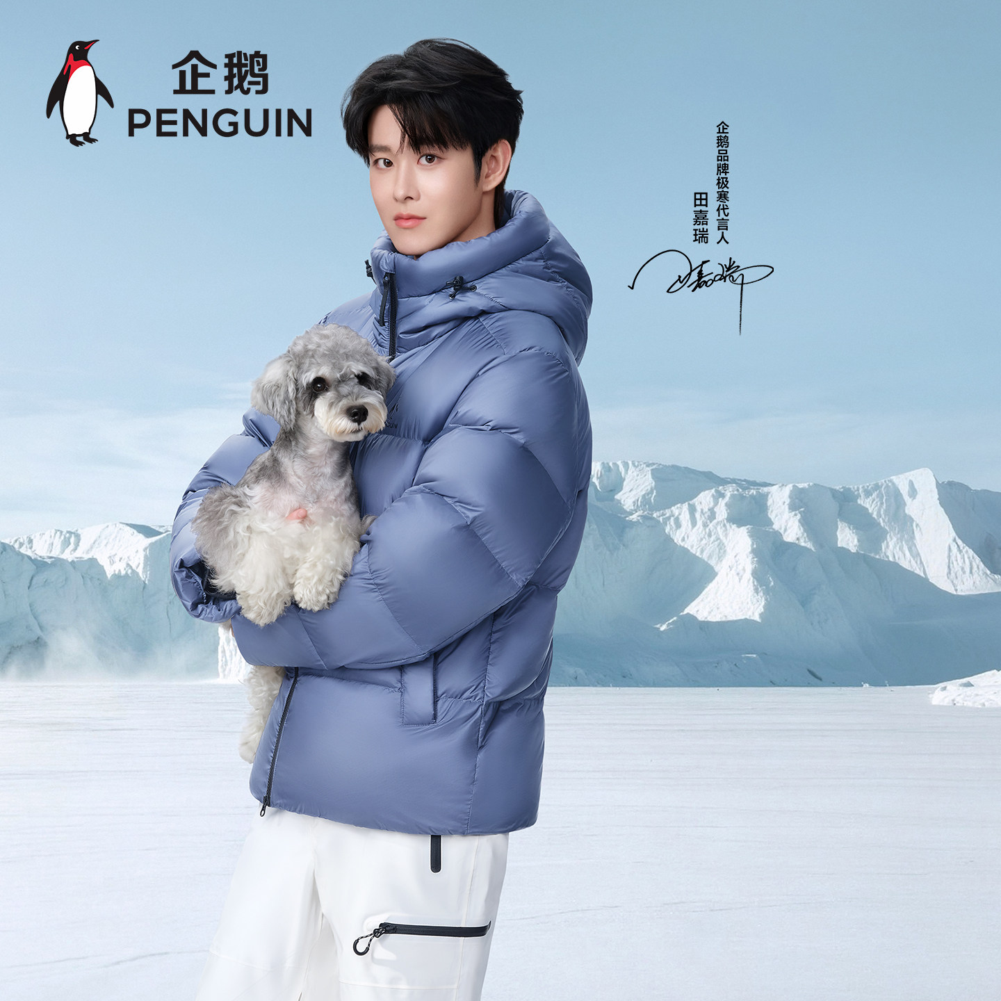 企鹅雪神云感羽绒服高蓬保暖鹅绒