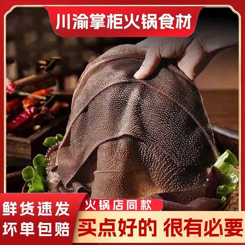 新鲜整块毛肚5斤装火锅毛肚大叶片冷吃千层肚火锅食材爽脆牛百叶