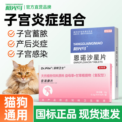 宠物猫咪狗狗尿闭尿血泌尿感染