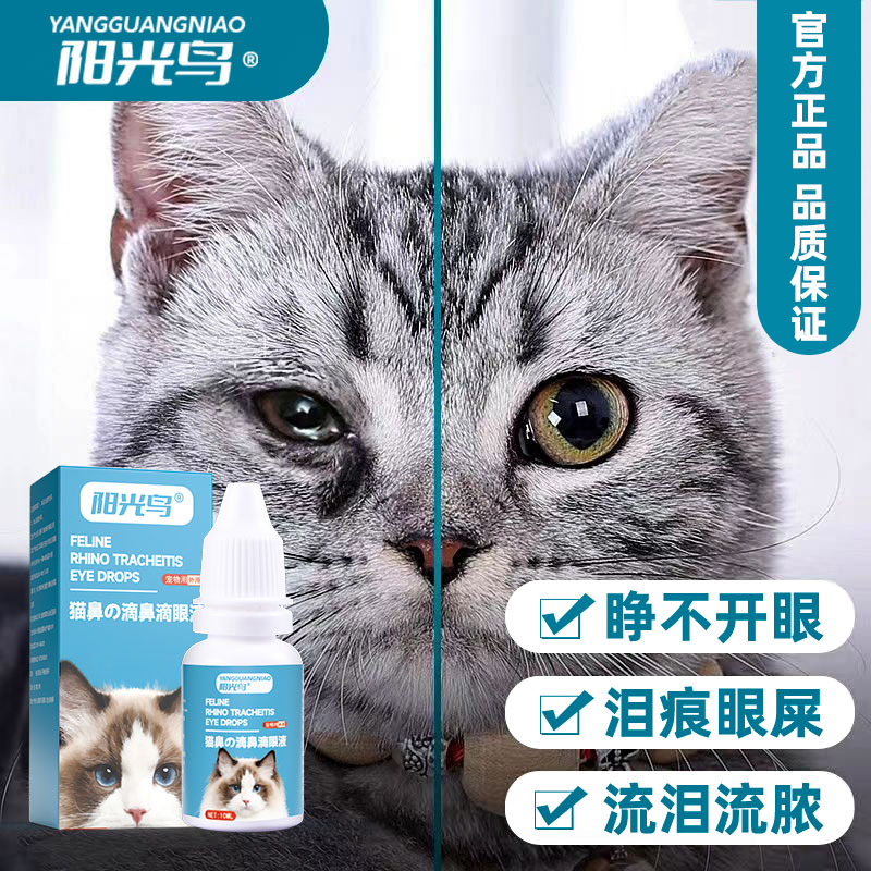 猫咪滴鼻滴眼液痕流眼泪眼睛清洁