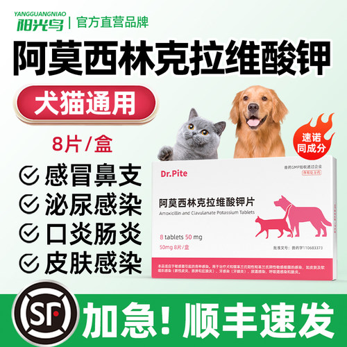 阿莫西林克拉维酸钾猫狗消炎药