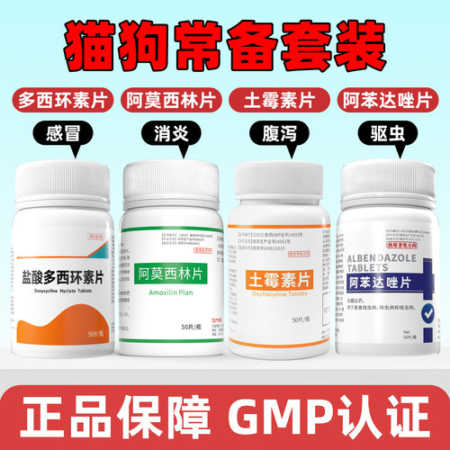 宠物猫狗常备四件套感冒药猫鼻支