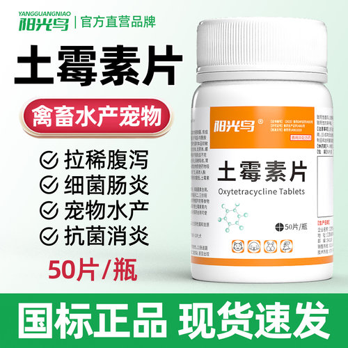 猫咪狗狗宠物肠炎腹泻呕吐用药