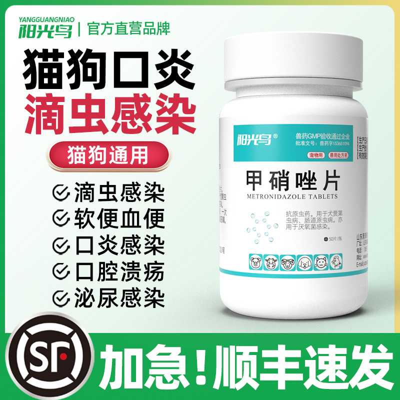 阳光鸟宠物牙周炎口腔溃疡