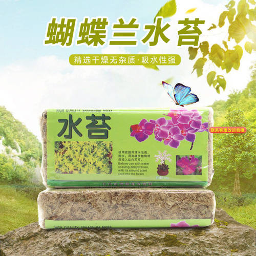 水苔干苔藓蝴蝶兰花专用介质 水草蝴蝶兰栽培基质兰花营养土