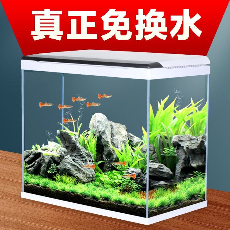 超白玻璃小鱼缸客厅小型桌面家用热带水族箱生态免换水金鱼缸,宠物/宠物食品及用品,桌面缸,淘宝优惠券,粉丝福利购,淘宝优惠卷