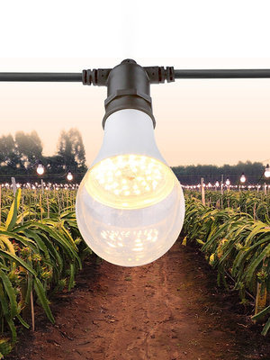 LED全光谱植物生长灯泡家用室内花卉兰花多肉盆栽盆景植物补光灯