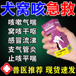 狗狗感打喷嚏果i根素口服剂液流鼻涕干呕小狗支气管i感染窝咳净片