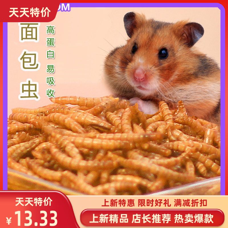 面包虫干黄粉虫虻虫干仓鼠粮小宠物零食刺猬鱼鸟食饲料芦丁鸡龟粮