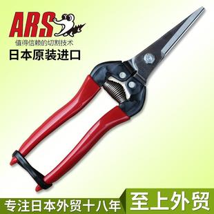 300L盆景园艺采果剪疏果稀果剪长嘴摘果剪芽剪 日本进口爱丽斯ARS