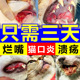 猫口炎特专用效药治猫咪烂嘴疗流口水杯状病毒口腔臭消炎清洁喷剂