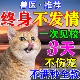 猫咪发情抑制药母猫专用公猫终身绝育情绪舒缓剂长效避孕禁情粉液